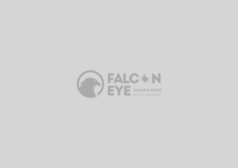 釣りって、こんなに楽しいんだ！｜初心者歓迎の遊漁船FALCON EYE（京都・舞鶴）